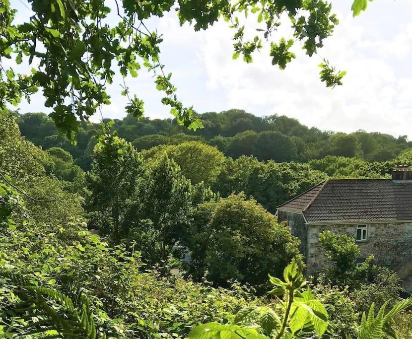 ein altes Steinhaus mitten im Wald in der Unterkunft Cosy retreat in beautiful Cornwall in Helston