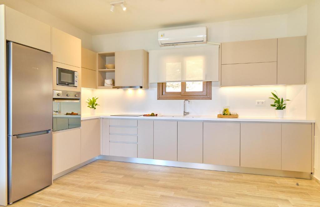 Kuchyň nebo kuchyňský kout v ubytování Armikes Beachfront Suites Afionas