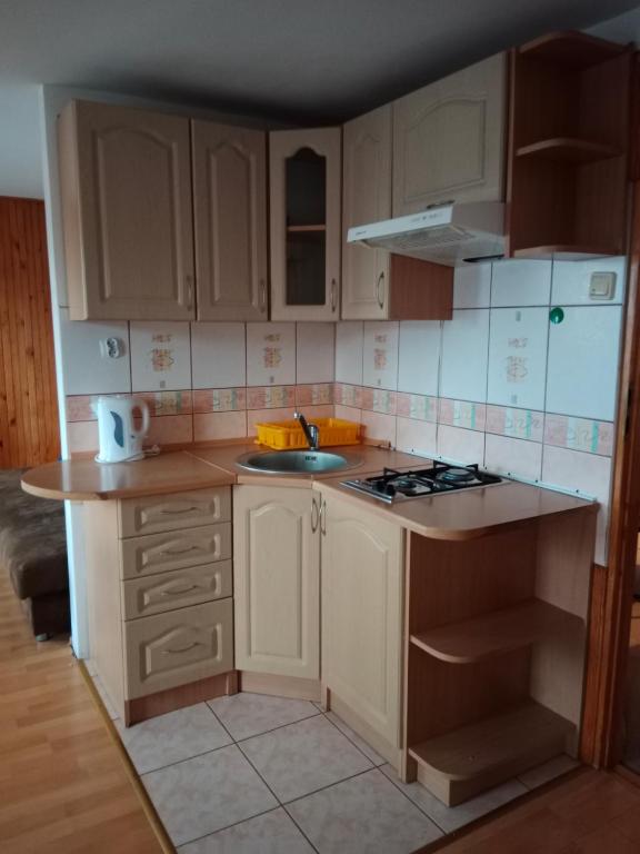 Kuchyňa alebo kuchynka v ubytovaní Owocowe Wakacje - Apartament nad jeziorem