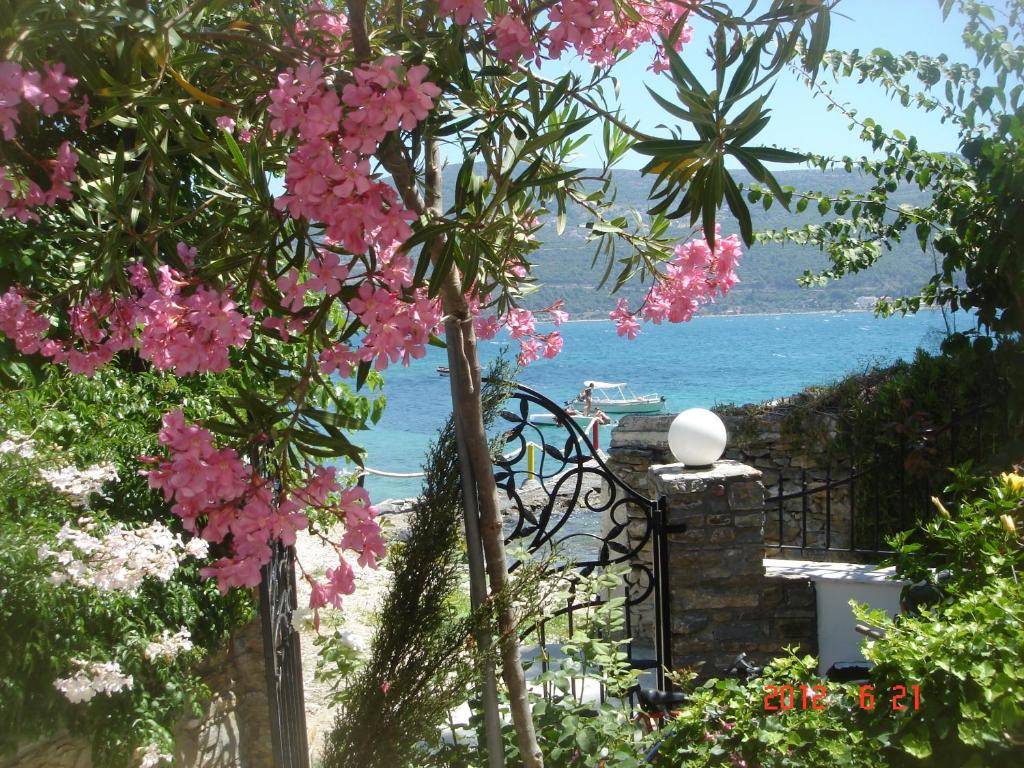 a view of the ocean from a garden with pink flowers at Roditses Beach Sea Front Apartments in Samos