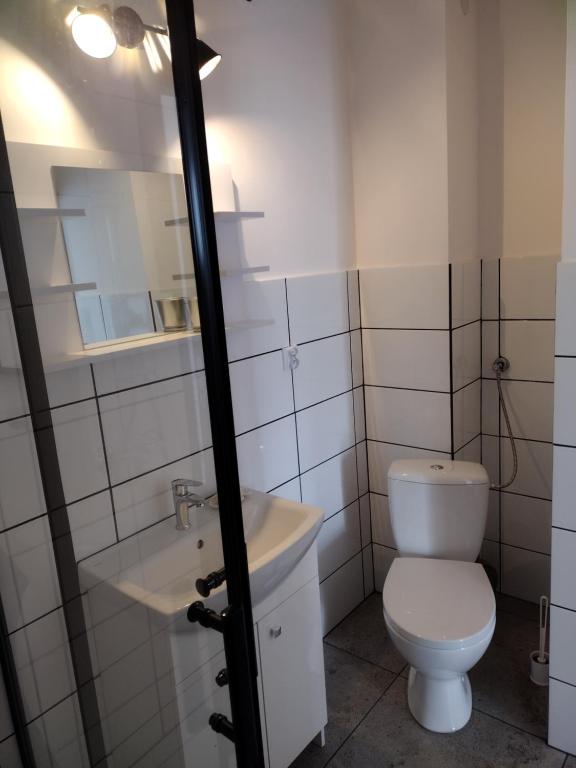 Kúpeľňa v ubytovaní Siedlisko Jelonki