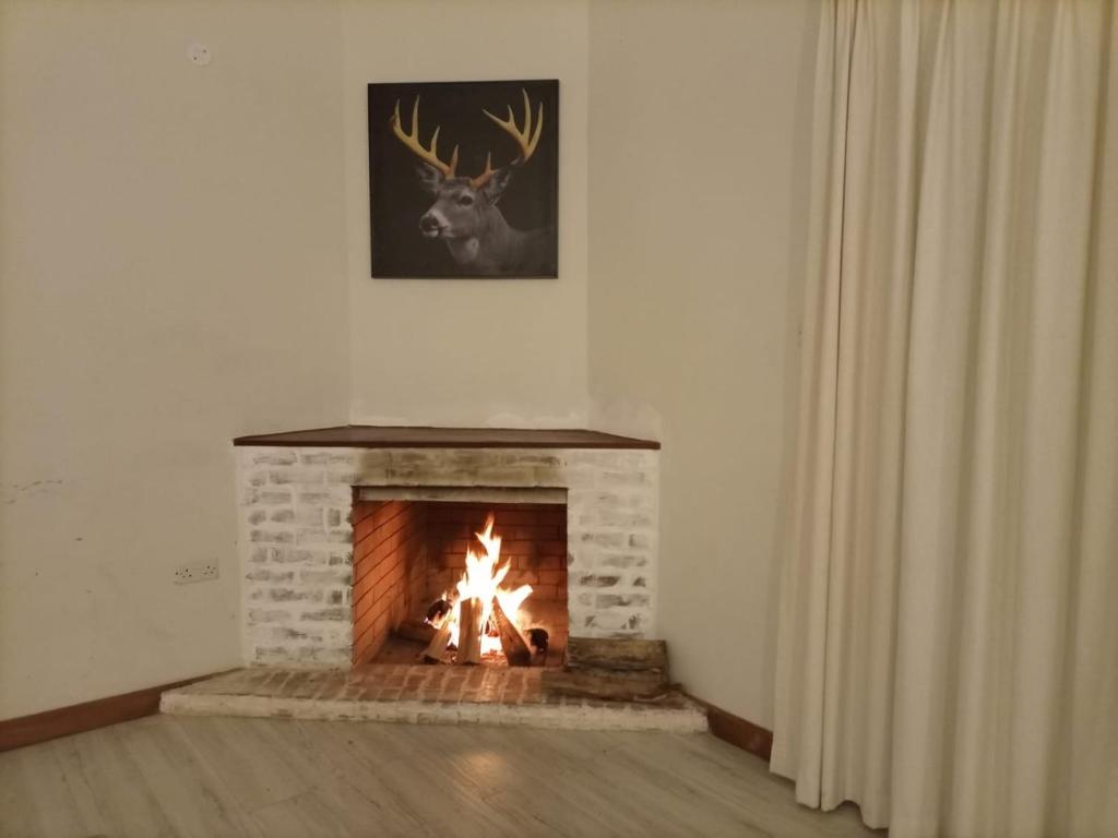 Fotografie z fotogalerie ubytování Oloibor Farmhouse near Ol Pejeta Nanyuki v destinaci Nanyuki
