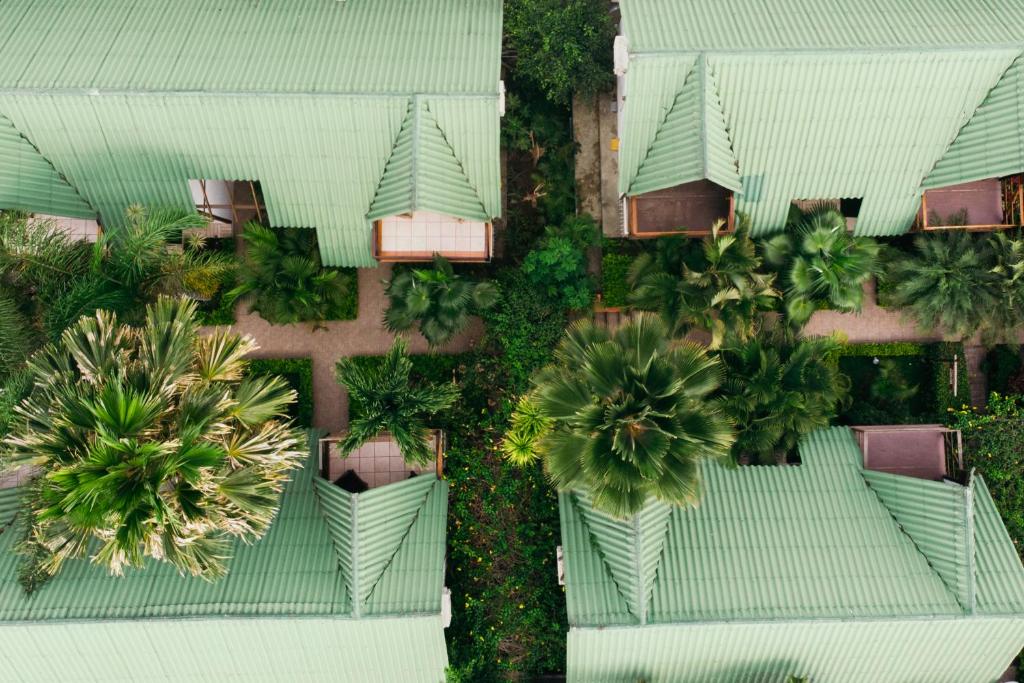 Zahrada ubytování Hotel Balandra