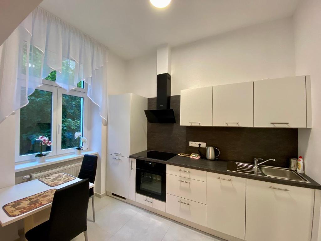 Kuchyň nebo kuchyňský kout v ubytování Top class apartments in Carlsbad