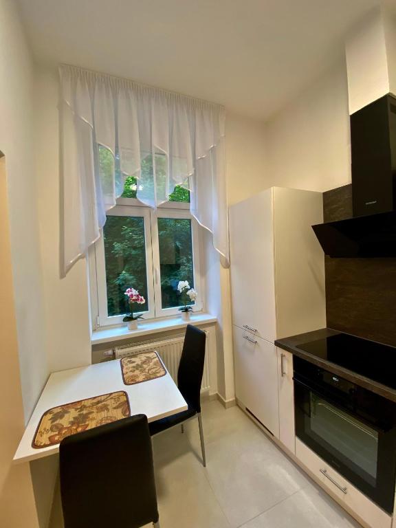 Kuchyň nebo kuchyňský kout v ubytování Top class apartments in Carlsbad