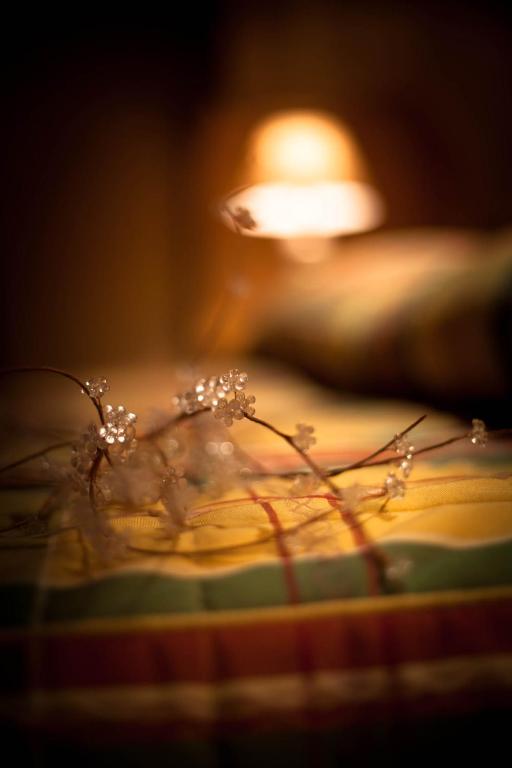 Fotografie z fotogalerie ubytování B&B Residence Checrouit v destinaci Courmayeur