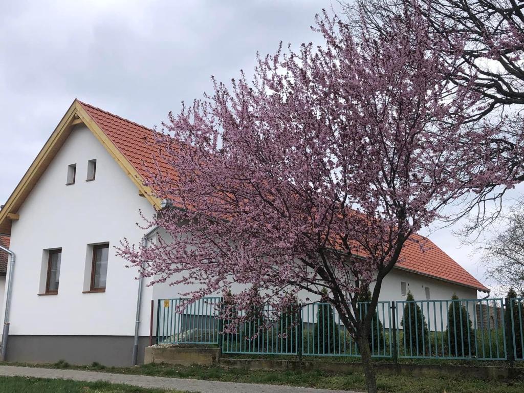 Budova, v ktorej sa penzión nachádza