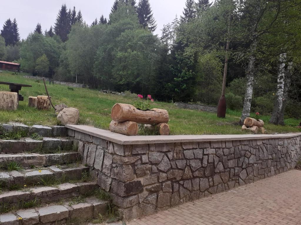 Zvířata v apartmánu nebo okolí