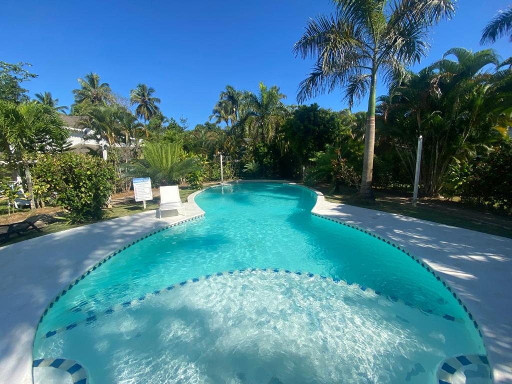 una piscina con agua azul y palmeras en Caribbean Villa Los Lobos Ballenas Beach en Las Terrenas