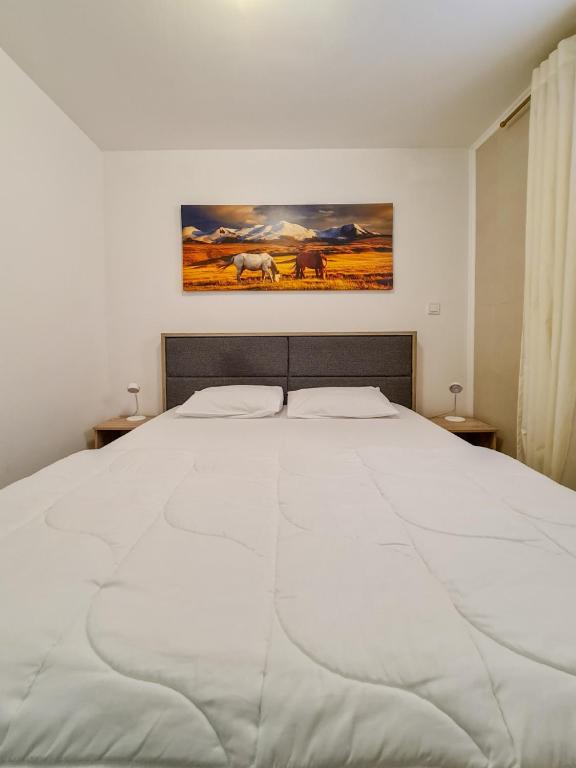 Sole Mio Apartment & Wellness - 13