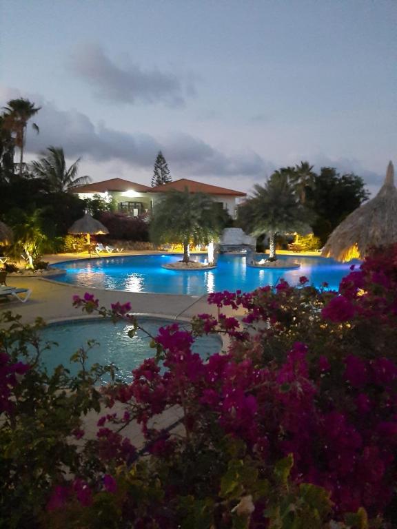 a view of a pool at a resort with purple flowers at Club Seru Coral Ap Toekan in Santa Catharina