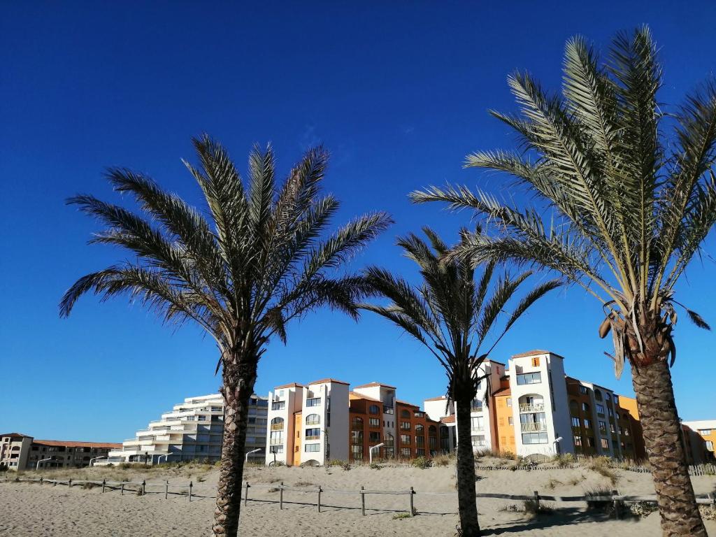 ル・バルカレスにあるPalm Beachの建物前の浜辺三本のヤシの木