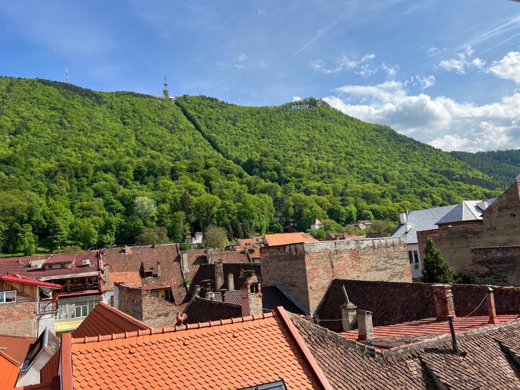 vista su una città con una montagna sullo sfondo di KronSoul a Braşov