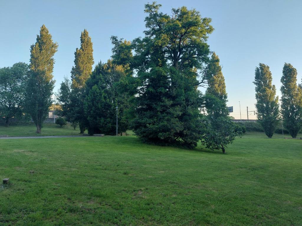 Apartamento Vieiro con plaza garaje gratis - 11