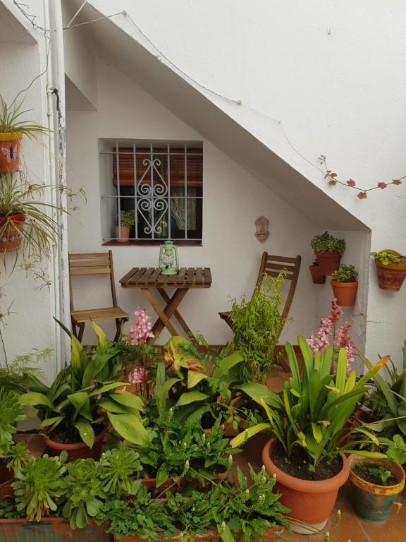 um pátio com plantas, uma mesa e uma janela em CASA ABRIL em Vejer de la Frontera