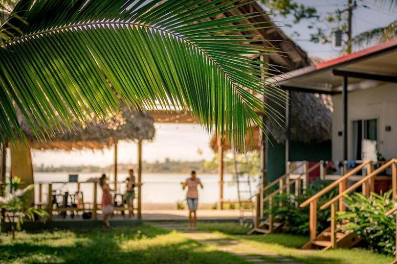 Photo de la galerie de l'établissement Somewhere, à Bocas del Toro