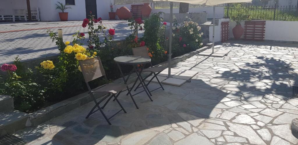 Zahrada ubytování Olympia Studio By Rentals Pro - Agios Nikolaos Halkidiki