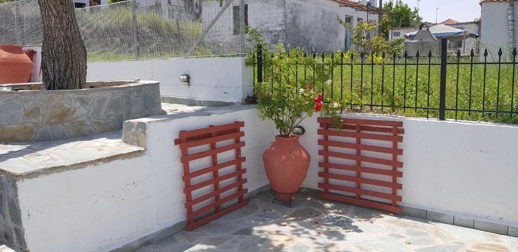 Zahrada ubytování Olympia Studio By Rentals Pro - Agios Nikolaos Halkidiki