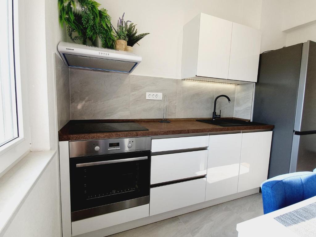 Kuchyň nebo kuchyňský kout v ubytování White House apartments