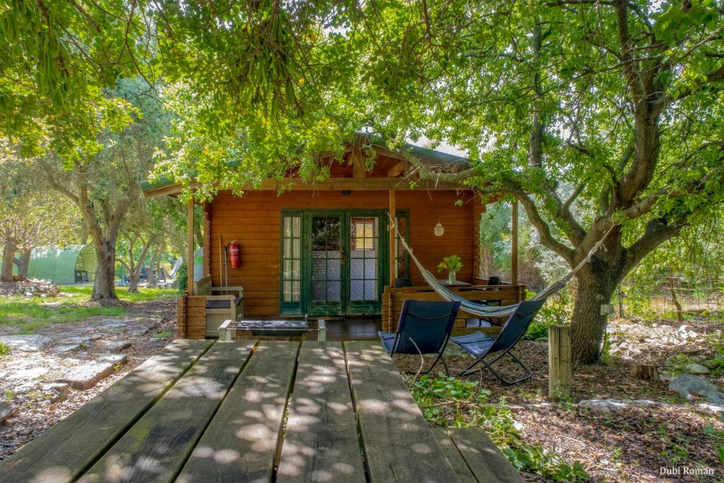 a cabin in the woods with a hammock in front at Amikam Meshek 81 משק 81 עמיקם in Amikam