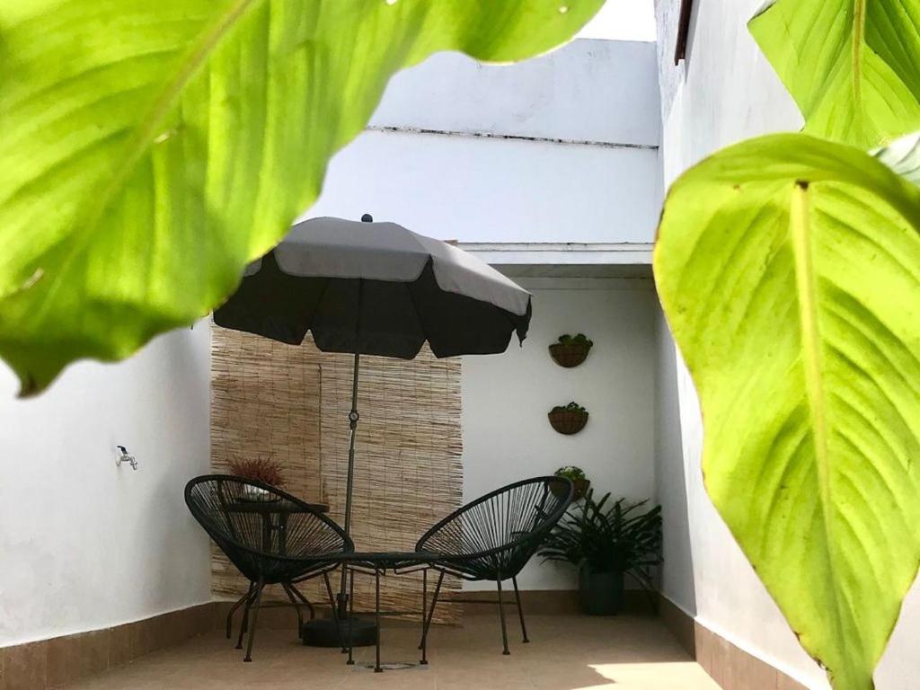 Apartamentos Élite - Art Collection - Frida - 5