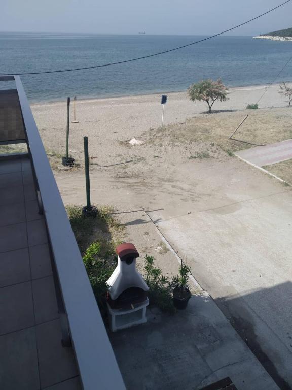 Táj az apartman közelében