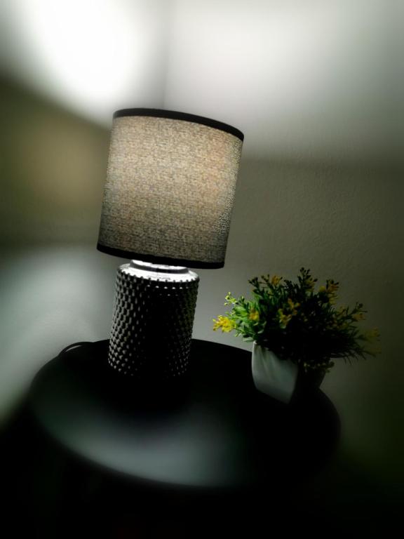 Fotografia z galérie ubytovania Apartman Elly v destinácii Slavonski Brod