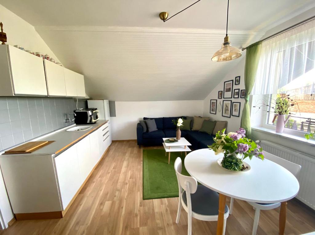 Kuchyň nebo kuchyňský kout v ubytování Apartmán U Babičky