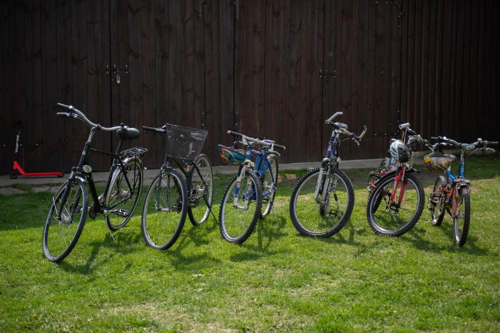 Jazda na bicykli v okolí ubytovania Dom całoroczny nad Bugiem