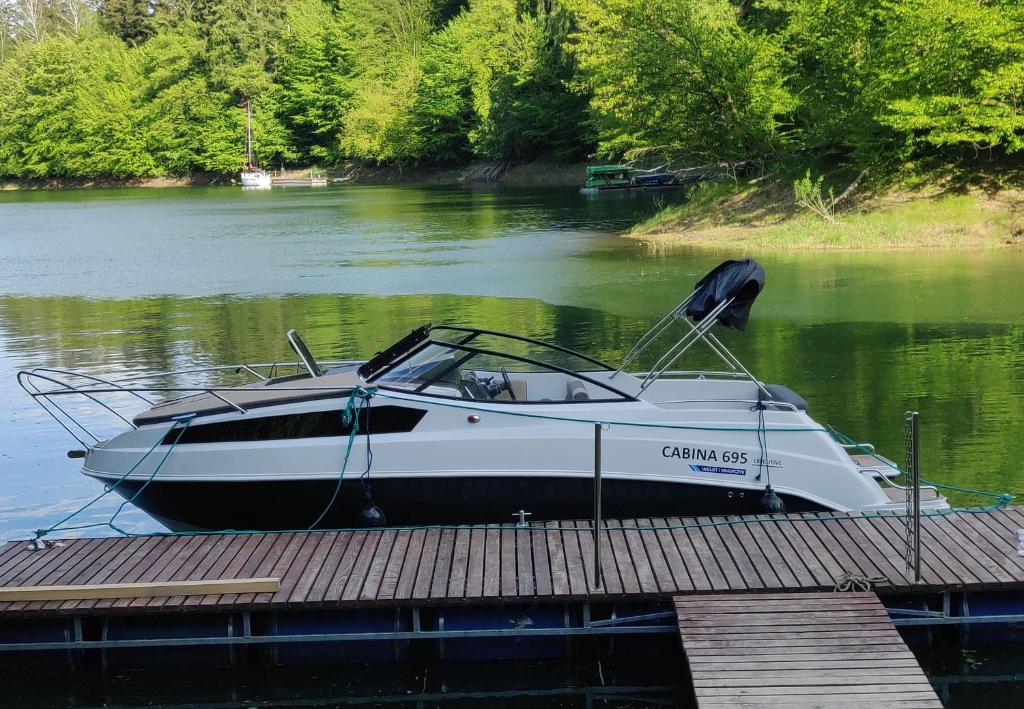 un bateau est amarré à un quai sur une rivière dans l'établissement Jacht elektryczny bez patentu, à Solina