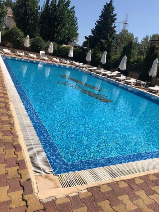 1 Bedroom Apartment At Kamelia Gardens