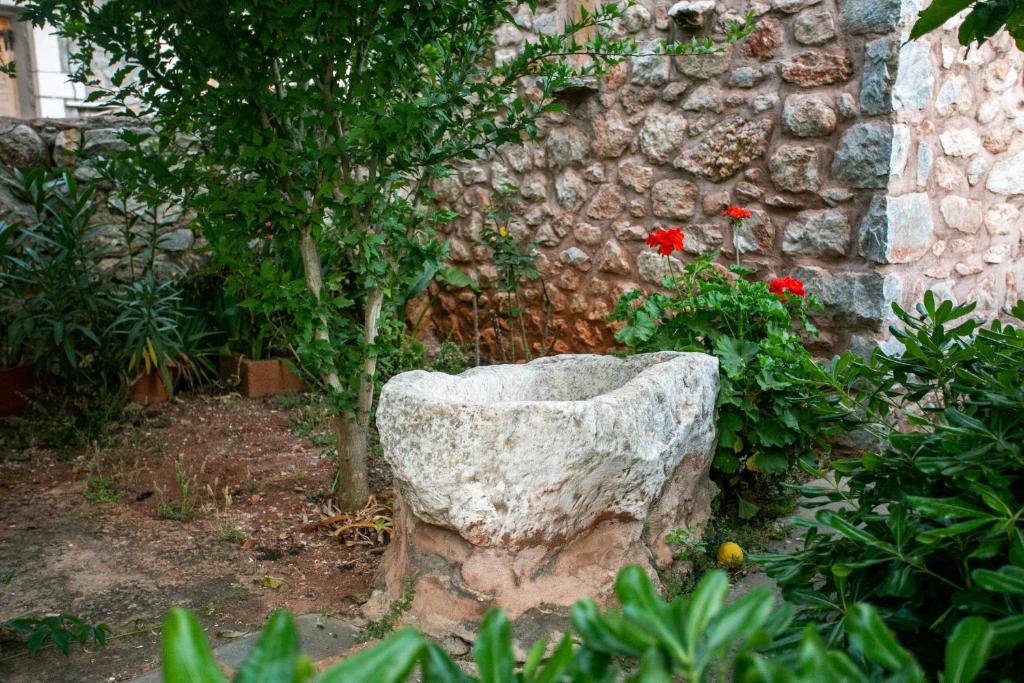 Vonkajšia záhrada v ubytovaní Charouda country house