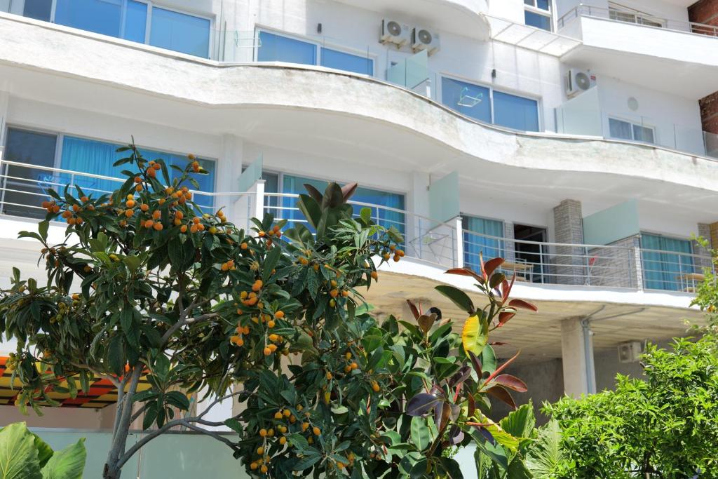Oceanic Overview Suites - Image 6