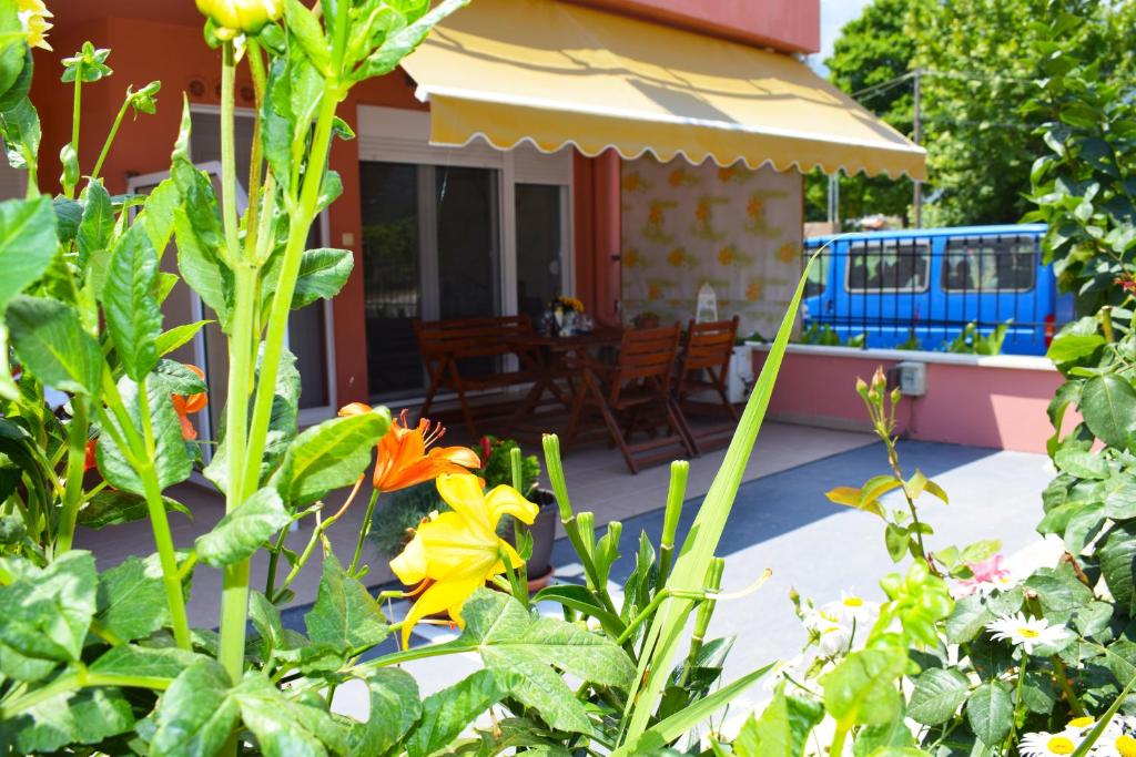 Zahrada ubytování Villa Margarita