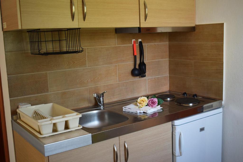 Kuchyň nebo kuchyňský kout v ubytování Villa Margarita