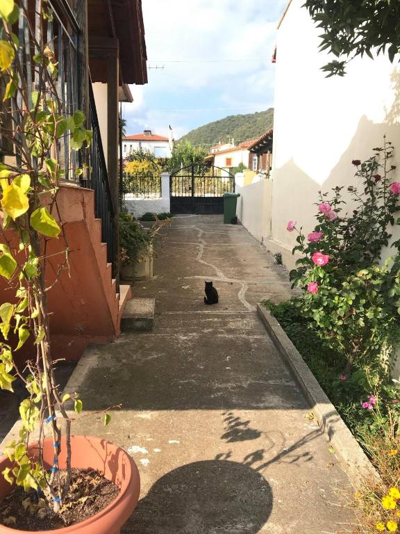 Zahrada ubytování AUTHENTIC HOUSE STRATONI CHALKIDIKI GREECE 6P SEAVIEW