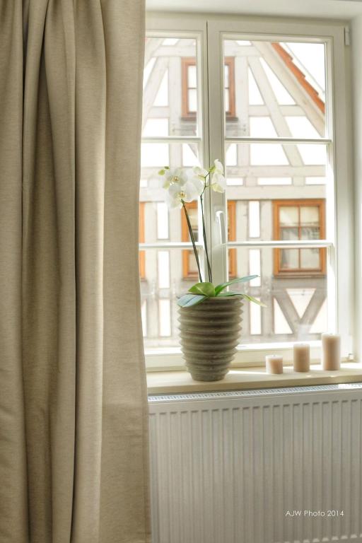 Apartment am Schlosshof - 18