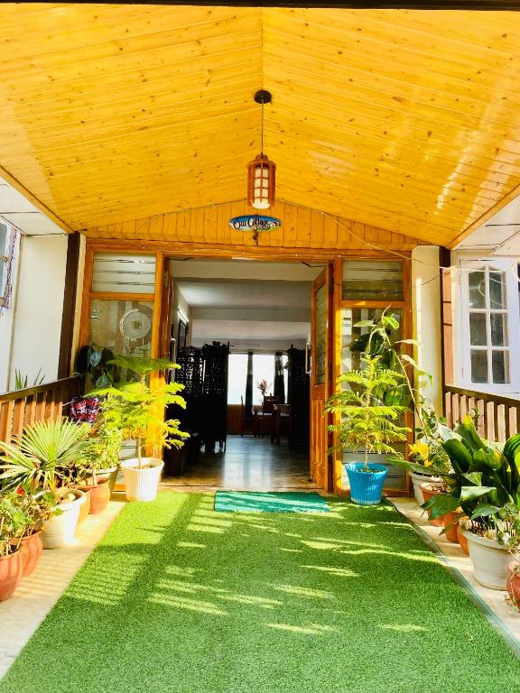 Sai Cottage Shimla photo