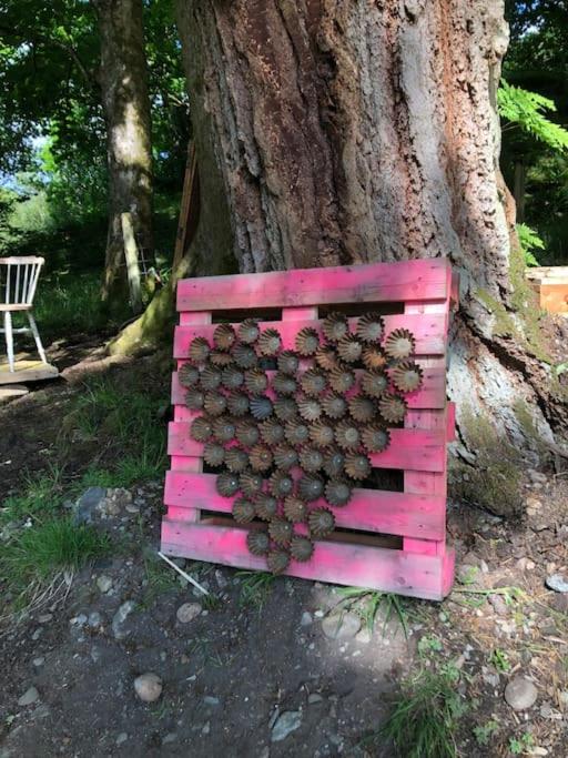 Fotografie z fotogalerie ubytování The Loveshack Lodge Balquhidder v destinaci Balquhidder