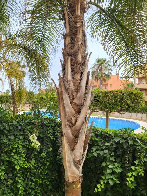 Bazén v ubytovaní ¡Bajo extraordinario con vistas a la piscina y terraza! alebo v jeho blízkosti