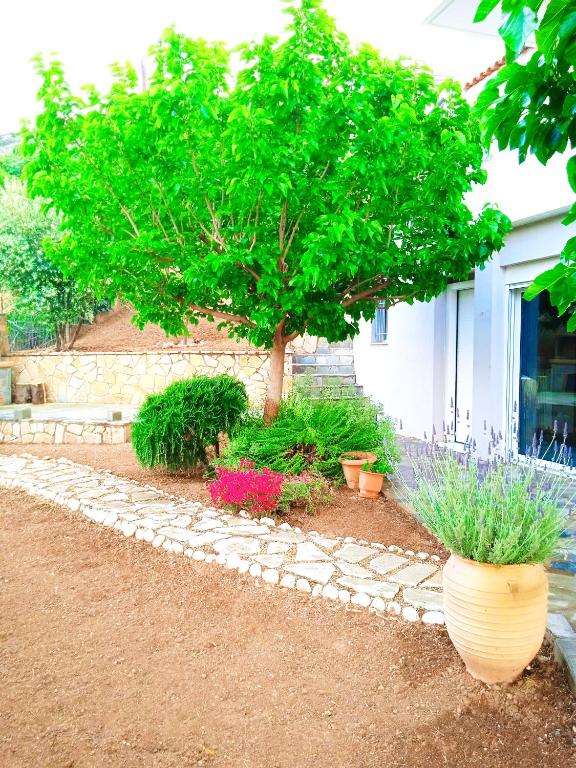 Fotografia z galérie ubytovania Nafplio View Luxury House v destinácii Ária