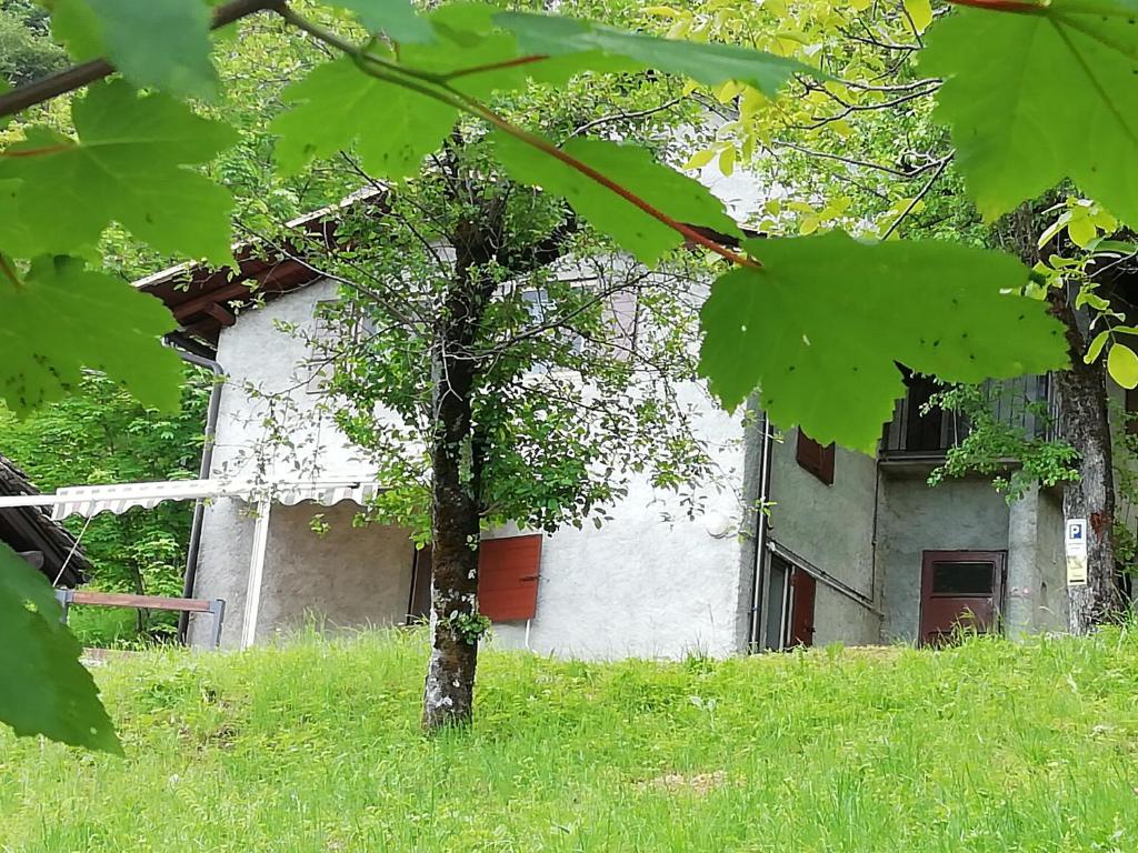 Zahrada ubytování Chalet Tessa BELLAGIO