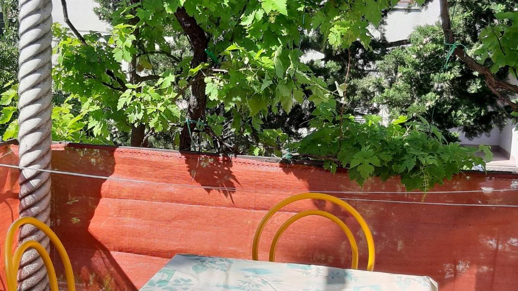 Fotografie z fotogalerie ubytování Apartments Oleandar v destinaci Selce