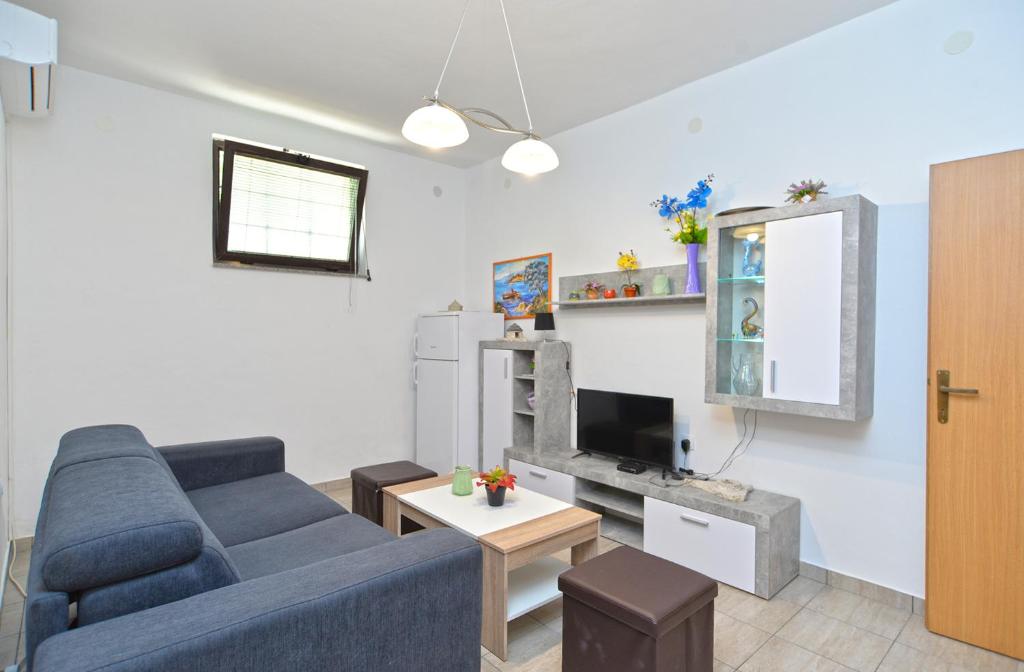 TV a/nebo společenská místnost v ubytování Apartments Branislav 1927
