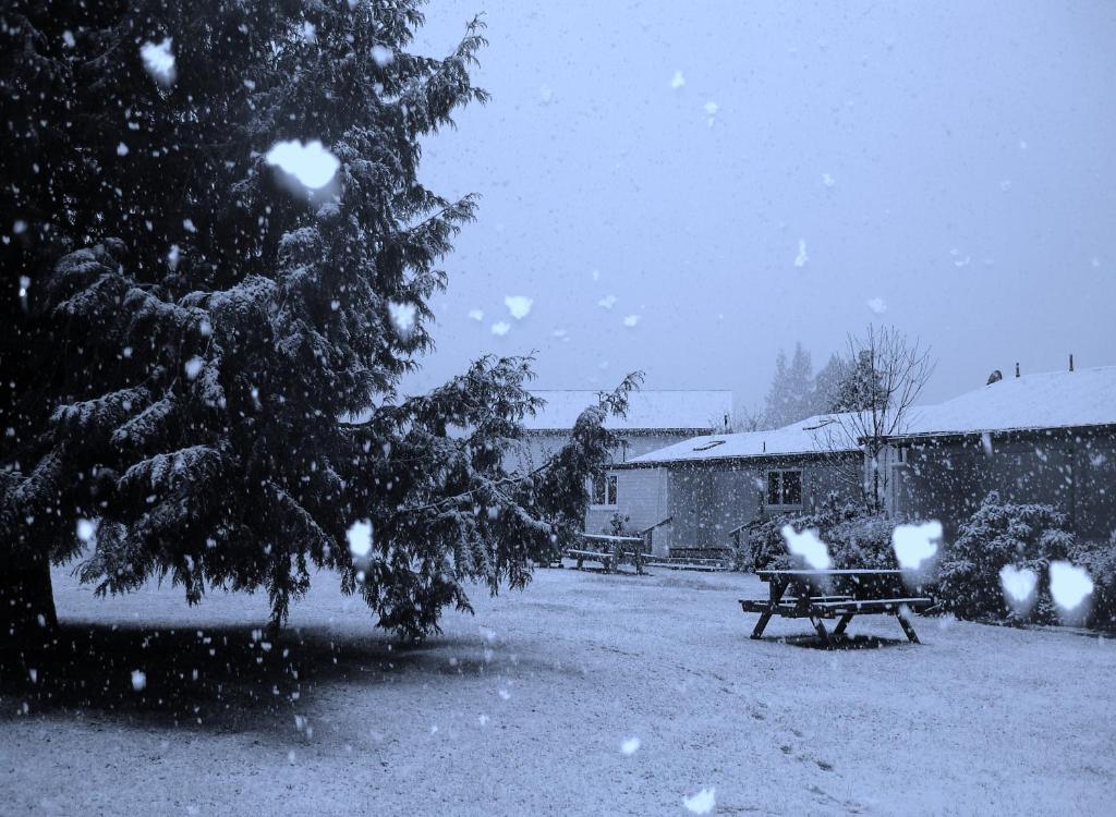 Alpine Holiday Apartments & Campground - Resim 24