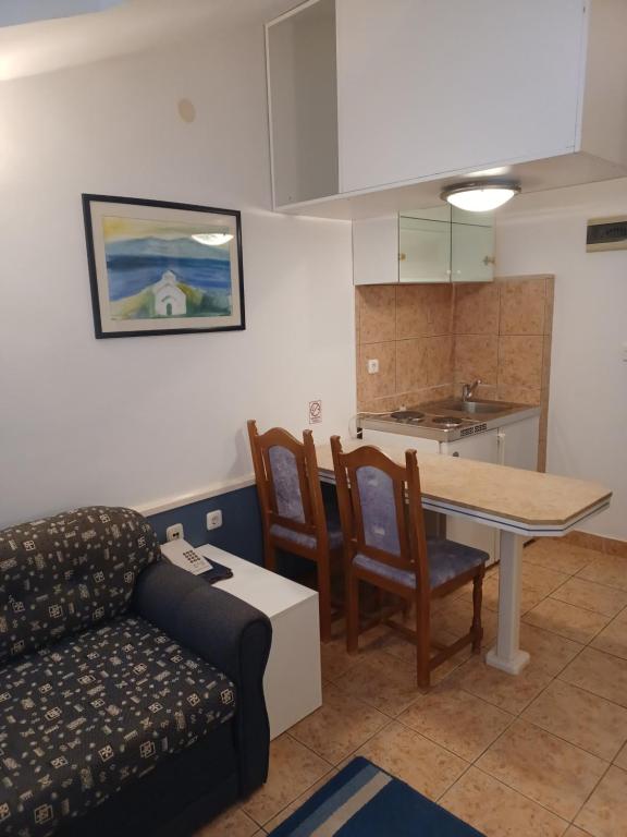 Kuchyň nebo kuchyňský kout v ubytování Hotel Ivan Dujmović Dvori