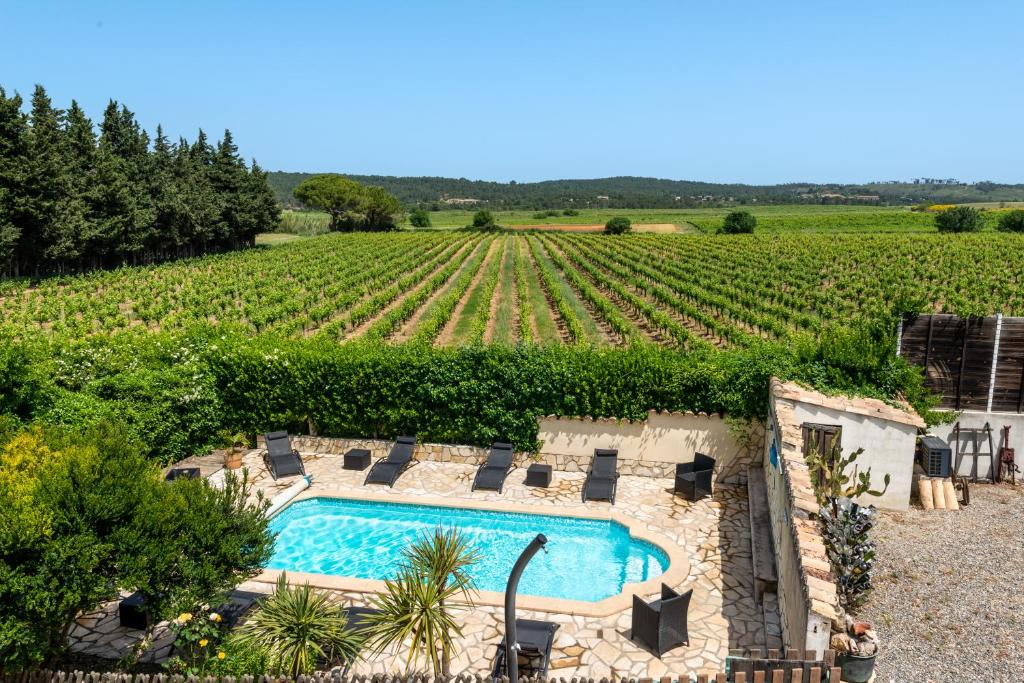 una piscina frente a un viñedo en Domaine de Parazols, en Fabrezan