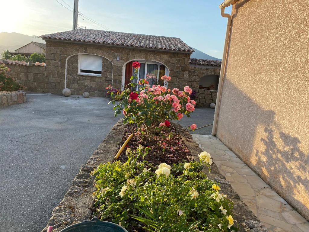 Vonkajšia záhrada v ubytovaní Petite maison en pierre