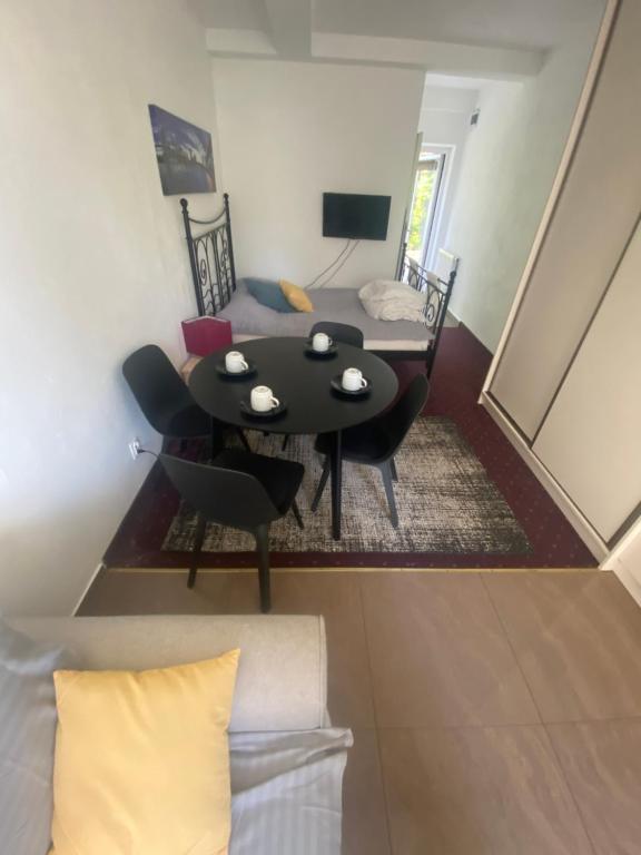 Televízia a/alebo spoločenská miestnosť v ubytovaní Apartamenty nad jeziorem charzykowskim Villa Emilia