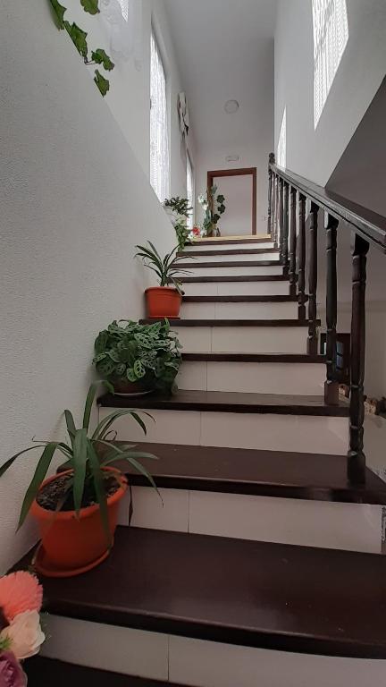 Casa Bozai - Habitación Triple